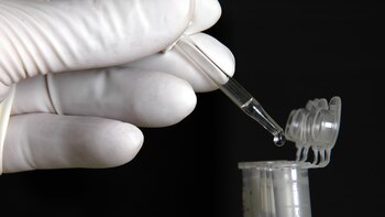 La última esperanza del grupo