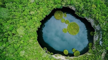 Vista aérea de un gran cenote circular rodeado de vegetación tropical, con agua oscura y varias islas de vegetación flotantes en su superficie