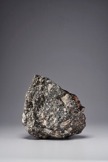 Imagen sin fecha de un