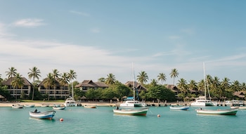 Entre los principales grupos de