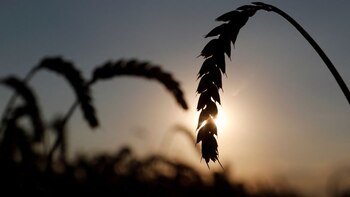 “Catástrofe inminente”: la ONU advirtió