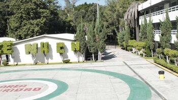 Todo su grupo presenció el