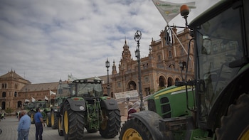 El campo andaluz saldrá a