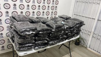 Foto: @MesaSegSonora