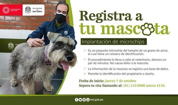 Implementación microchip a tu mascota
