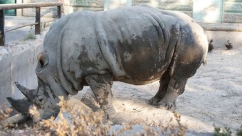 En julio del año pasado