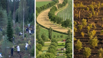 Tres escenarios europeos demuestran cómo