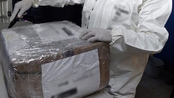 GN decomisó más de 24