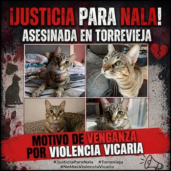 crédito Asociación Defensa Animal Torrent - ADAT/Facebook