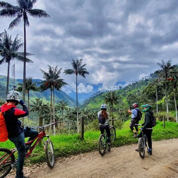 Montar bicicleta en medio del