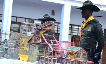 Las especies fueron entregadas al