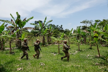 ALTO LIMÓN (PANAMÁ), 14/08/2026.- Agentes del Servicio Nacional de Fronteras de Panamá (Senafront), custodian la base Binacional Alto Limón en la selva del Tapón del Darién este viernes, línea fronteriza entre Panamá y Colombia, Alto Limón (Panamá). Cerca del Puesto Binacional, se extienden unas 500 hectáreas de siembra de coca en territorio de Colombia. Militares colombianos trabajan en su erradicación mientras policías de Panamá los resguardan frente a un eventual ataque de grupos armados. EFE/ Bienvenido Velasco