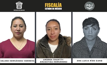 La sentencia fue dictada por un juez luego de que la fiscalía mexiquense presentara elementos de prueba suficientes. Crédito: FGJEM