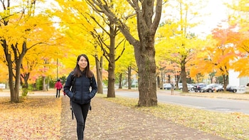 Árboles -- pero no césped