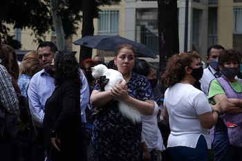 Van más de 200 réplicas