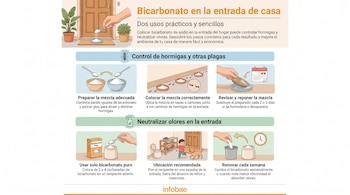 Infografía con ilustraciones de una mano colocando bicarbonato, cuencos, hormigas, un calendario, un niño, un perro y un reloj, mostrando pasos detallados.
