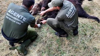 Un hombre se enfrenta a
