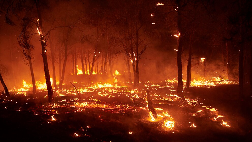 Día de la Prevención de Incendios Forestales: el cambio climático acelera la amenaza global