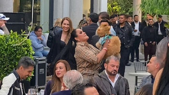 “Abogada de las Estrellas” desata indignación por presunto maltrato animal en plena transmisión