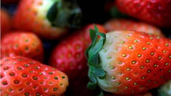 Un primer plano muestra varias fresas rojas con semillas verdes; una fresa principal tiene la parte superior más clara y hojas verdes