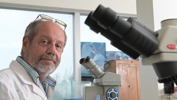 DEF consultó al doctor en