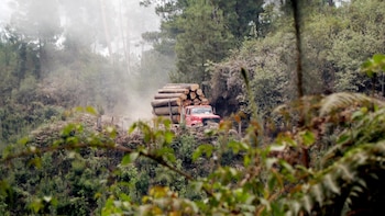 Desaparición de siete campesinos en Guerrero evidencia el control territorial del narco, advierte ONG