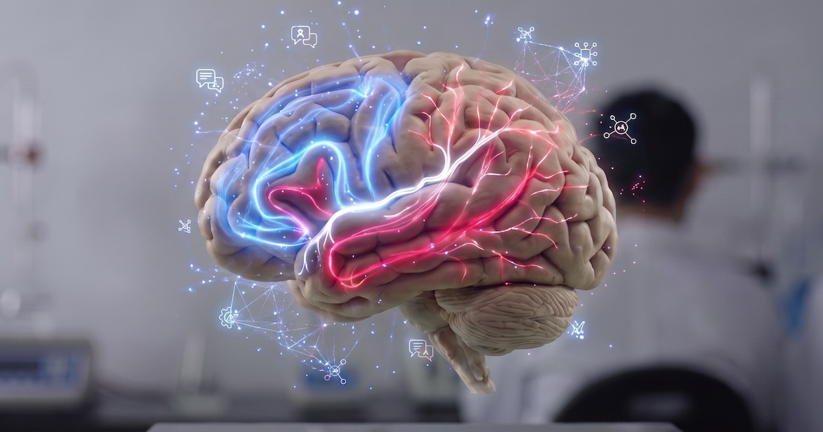 Cerebro joven: los hábitos que frenan el envejecimiento cognitivo y las señales de alerta que no debes ignorar