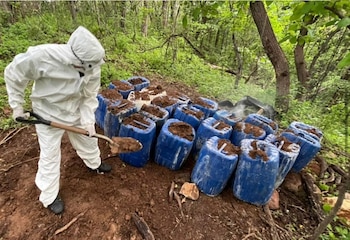 Los sitios fueron hallados en