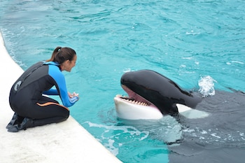 Kshamenk fue rescatado en febrero