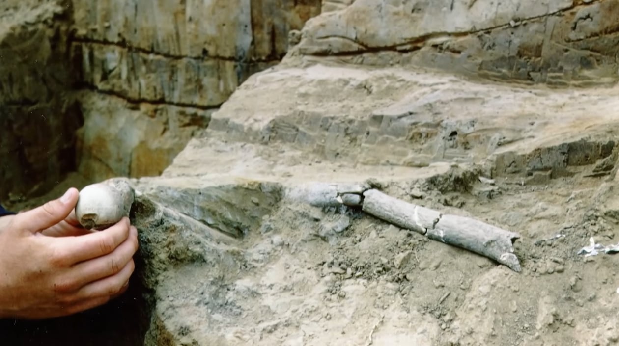 Vestigios humanos milenarios encontrados en la costa del Pacífico abren nuevas preguntas sobre las rutas de migración hacia América (Timeline - World History Documentaries)