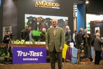 Alfonso Bustillo, presidente de la