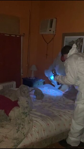 Los peritos realizan un análisis