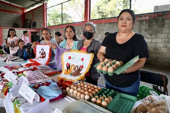 El Gobierno del Estado de