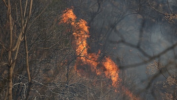 Los incendios en Córdoba ya