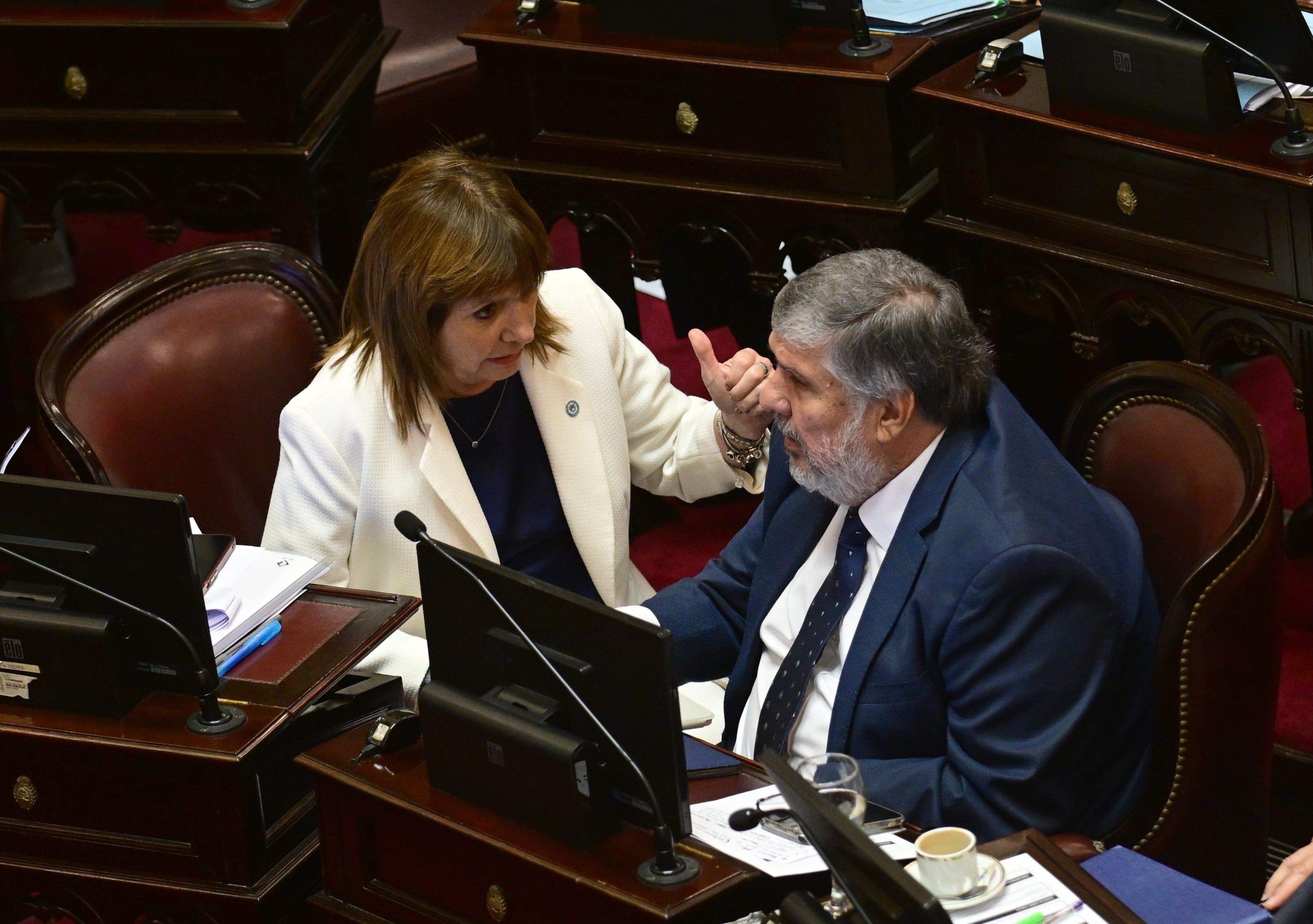 La jefa libertaria en la Cámara alta, Patricia Bullrich, junto a su par del kirchnerismo, José Mayans