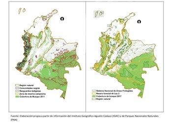 Bosques y figuras de reglamentación
