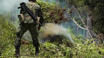 Es poco probable que en