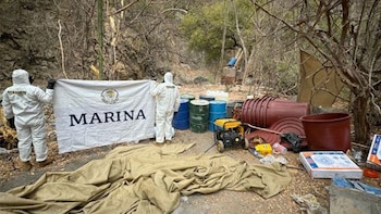 Los laboratorios fueron asegurados y