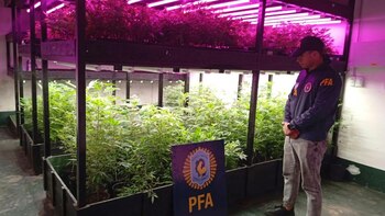 El vivero desmantelado en Avellaneda