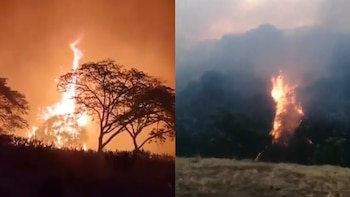 La Gobernación del Tolima reportó 39 incendios activos en 18 municipios durante una de las jornadas más críticas de la temporada - crédito X