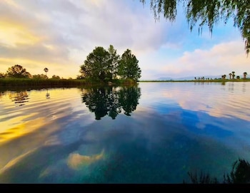 Un cuerpo de agua refleja árboles y un cielo con nubes de tonos amarillos y azules. Se observan árboles en la orilla y vegetación colgante