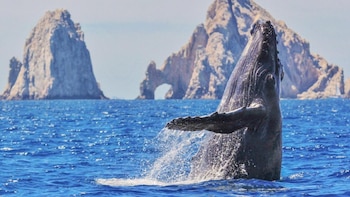 Los Cabos: el paraíso mexicano