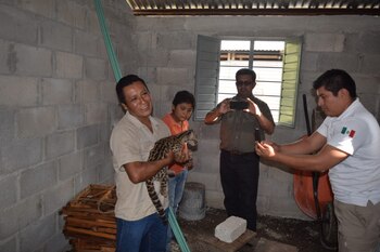 (Foto: Twitter @CONANP_Mx)