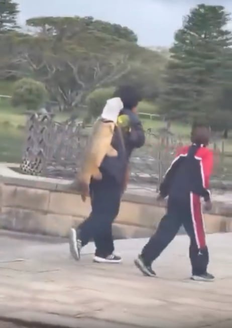 La entidad administradora de los espacios verdes explicó que la restricción busca preservar la calidad hídrica, la fauna y la seguridad de los visitantes (Captura de video)