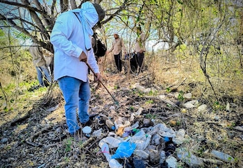 Las acciones coordinadas dejaron como
