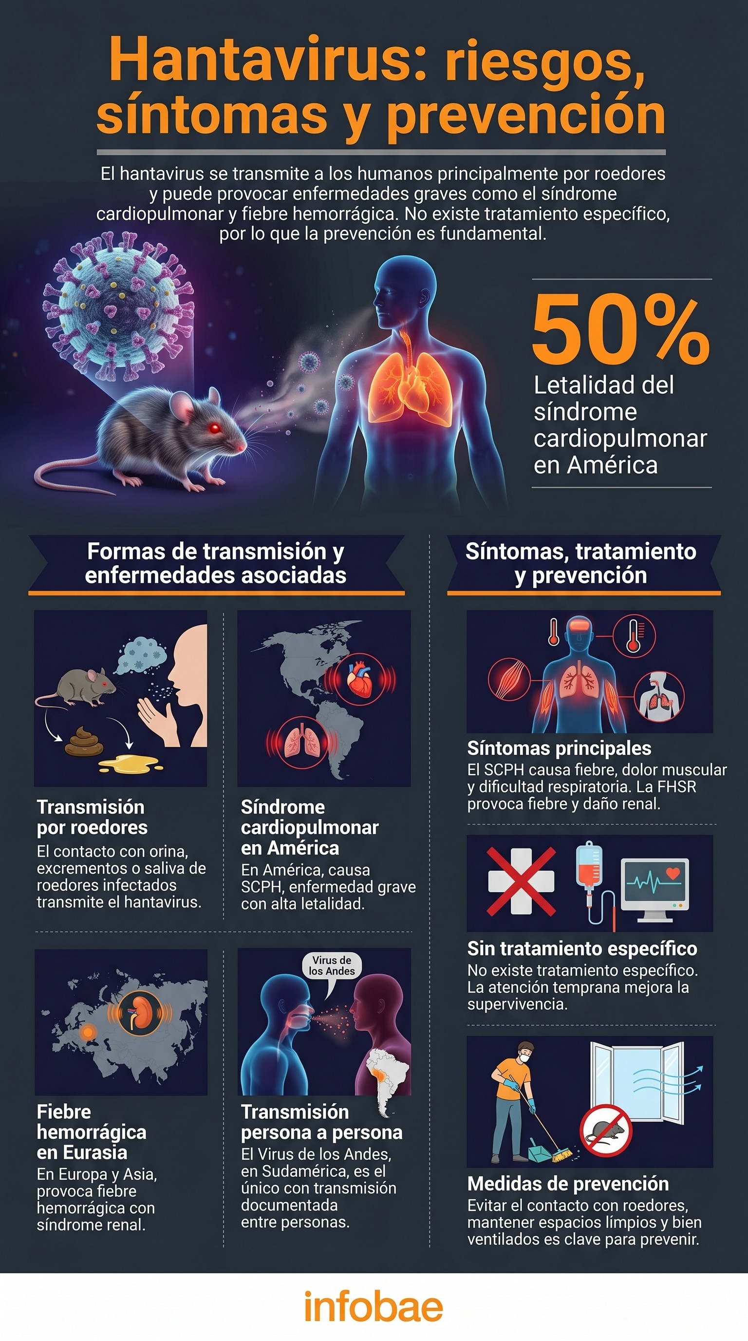 Brote de Hantavirus en Crucero Desata Alerta Sanitaria Internacional — image 3