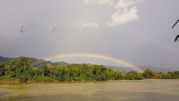 De acuerdo con esta posición,