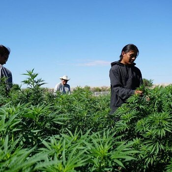 Dineh Benally en uno de