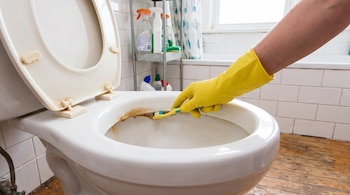 Una mano con guante amarillo limpia el borde de un inodoro blanco con un cepillo de dientes junto a productos de limpieza.