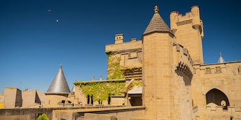Palacio Real de Olite en